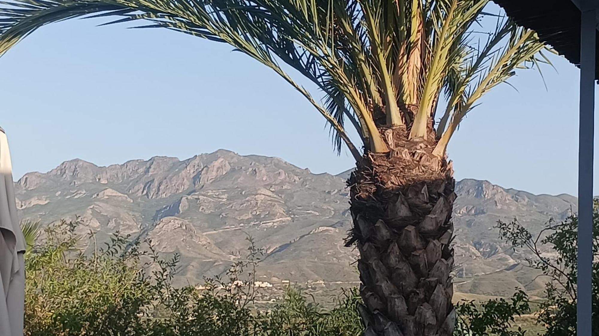 Cortijo Las Gallardas En Almeria Los Gallardos Екстер'єр фото