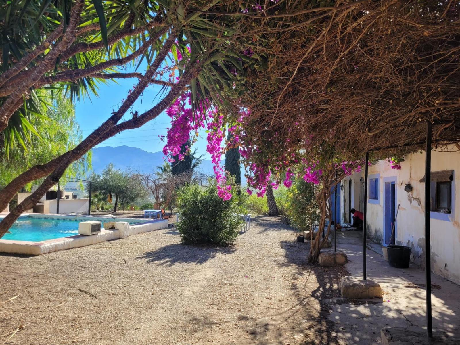 Cortijo Las Gallardas En Almeria Los Gallardos Екстер'єр фото